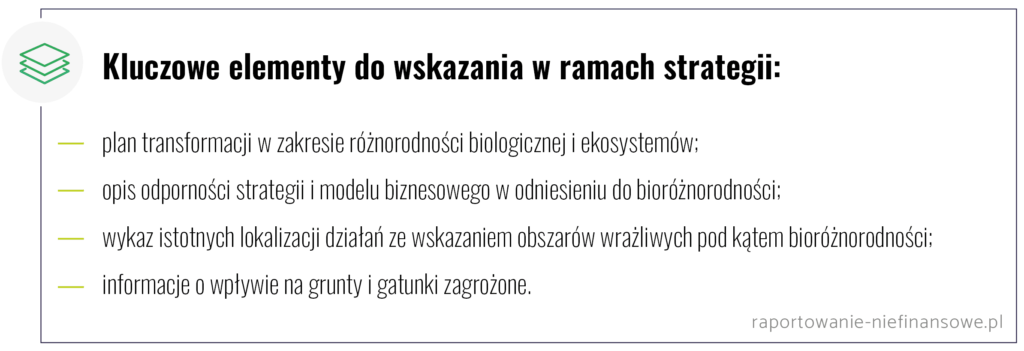 kluczowe elementy do wskazania w ramach strategii